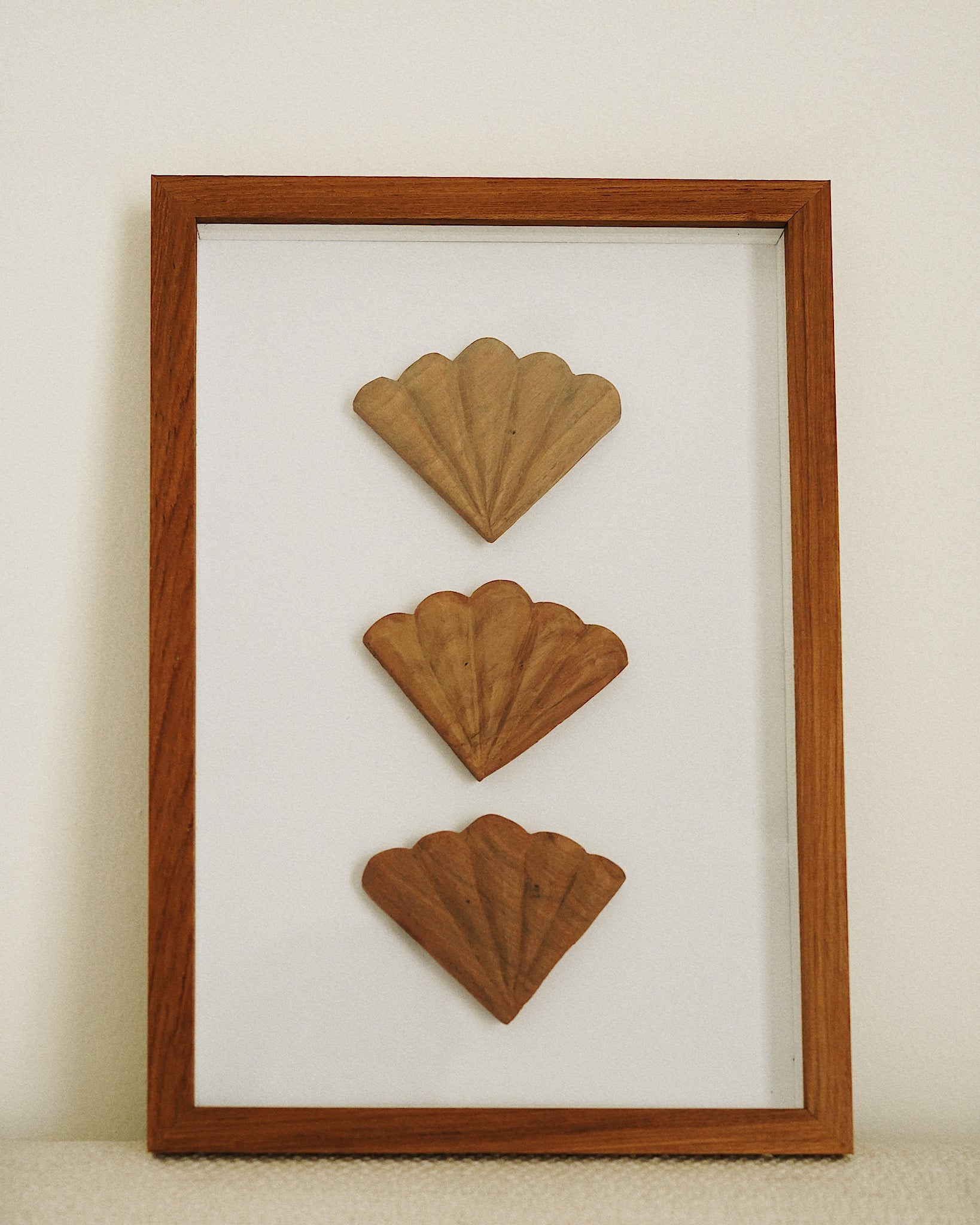 Seashell Wall Art in frame - front