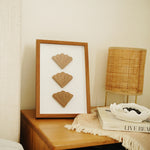 Seashell Wall Art in frame