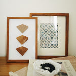Seashell Wall Art - Framed